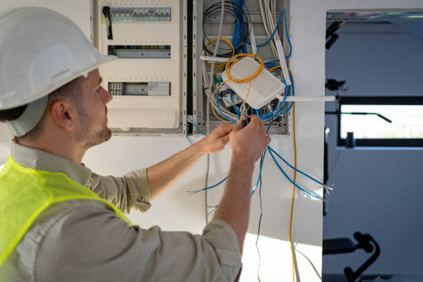 Best Generator Installation Services  in Belleville, MI